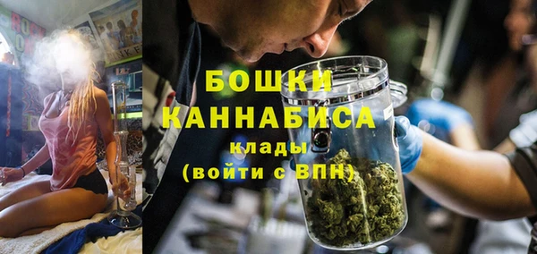 трава Абаза