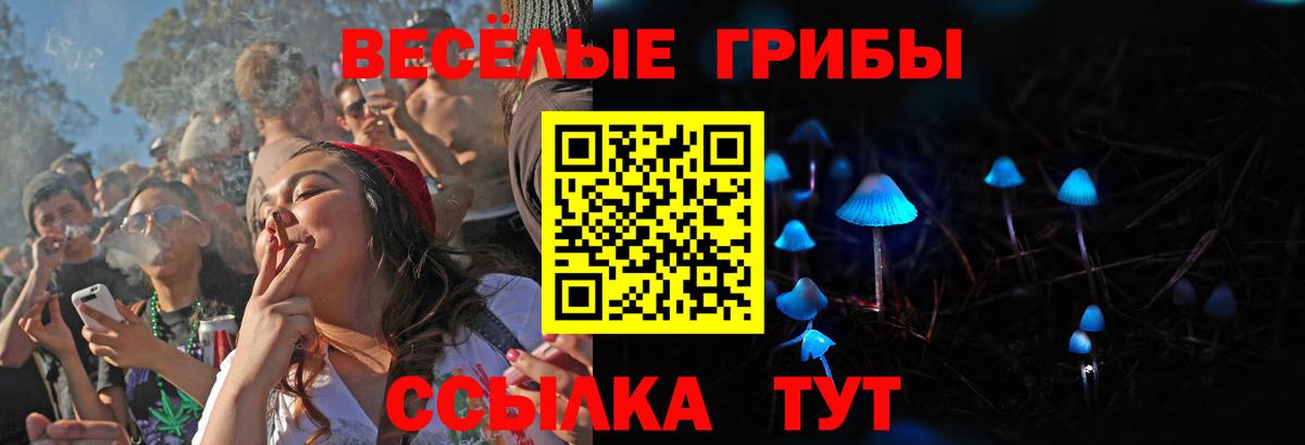 Галлюциногенные грибы прущие грибы Лосино-Петровский