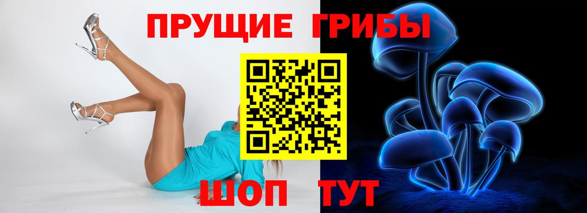 Галлюциногенные грибы MAGIC MUSHROOMS  Вход с VPN  Лосино-Петровский 