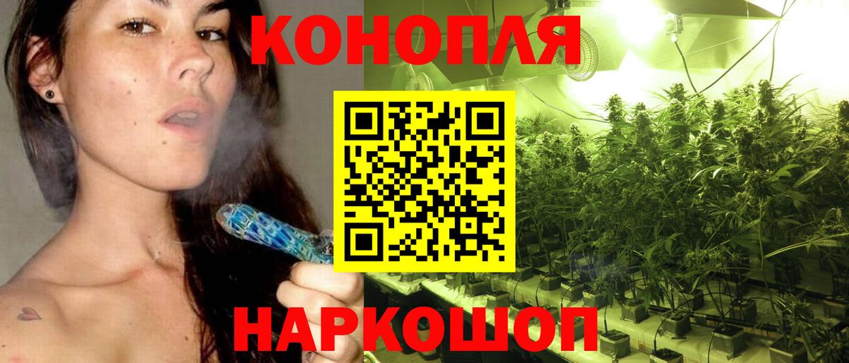 Канабис ГИДРОПОН Лосино-Петровский